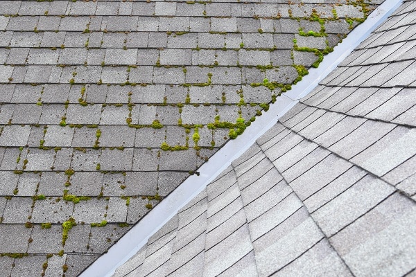How Roof Washing Benefits Your Home