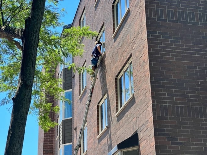 Commercial Window Washers