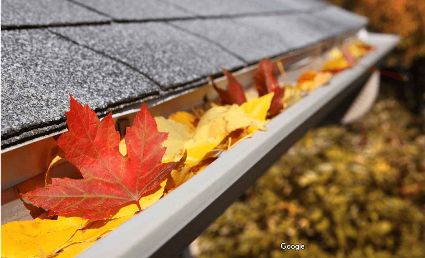 Gutter Cleaning Service