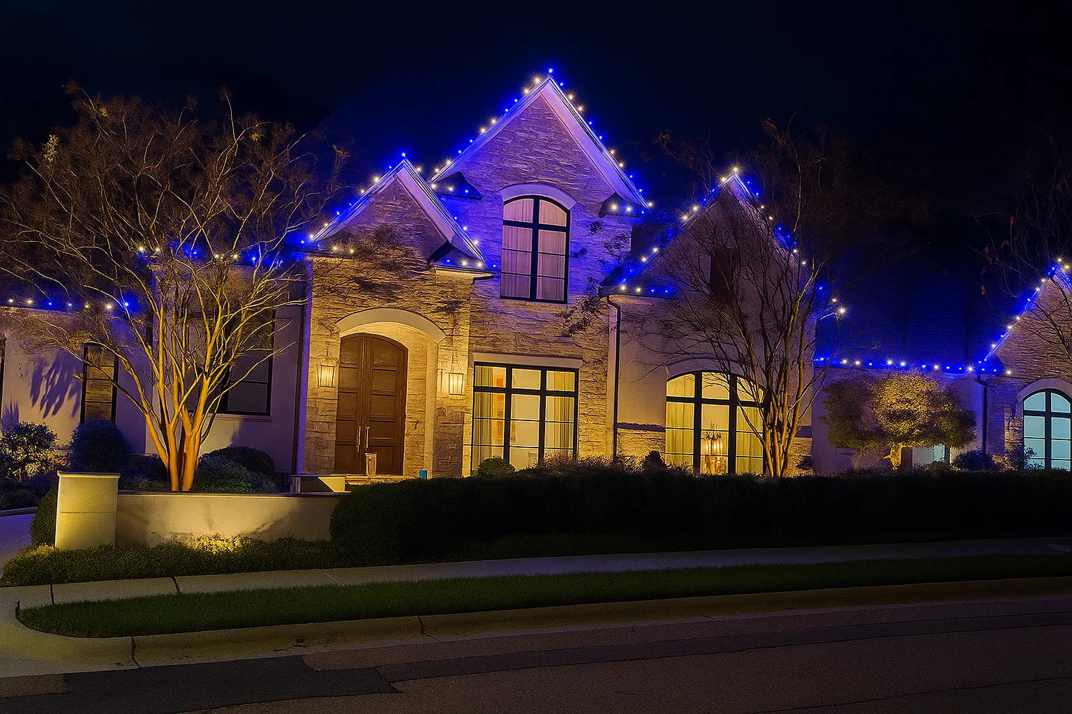 Christmas Light Installation Service 